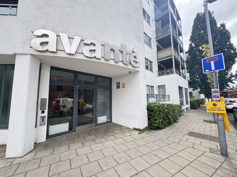 Main Image